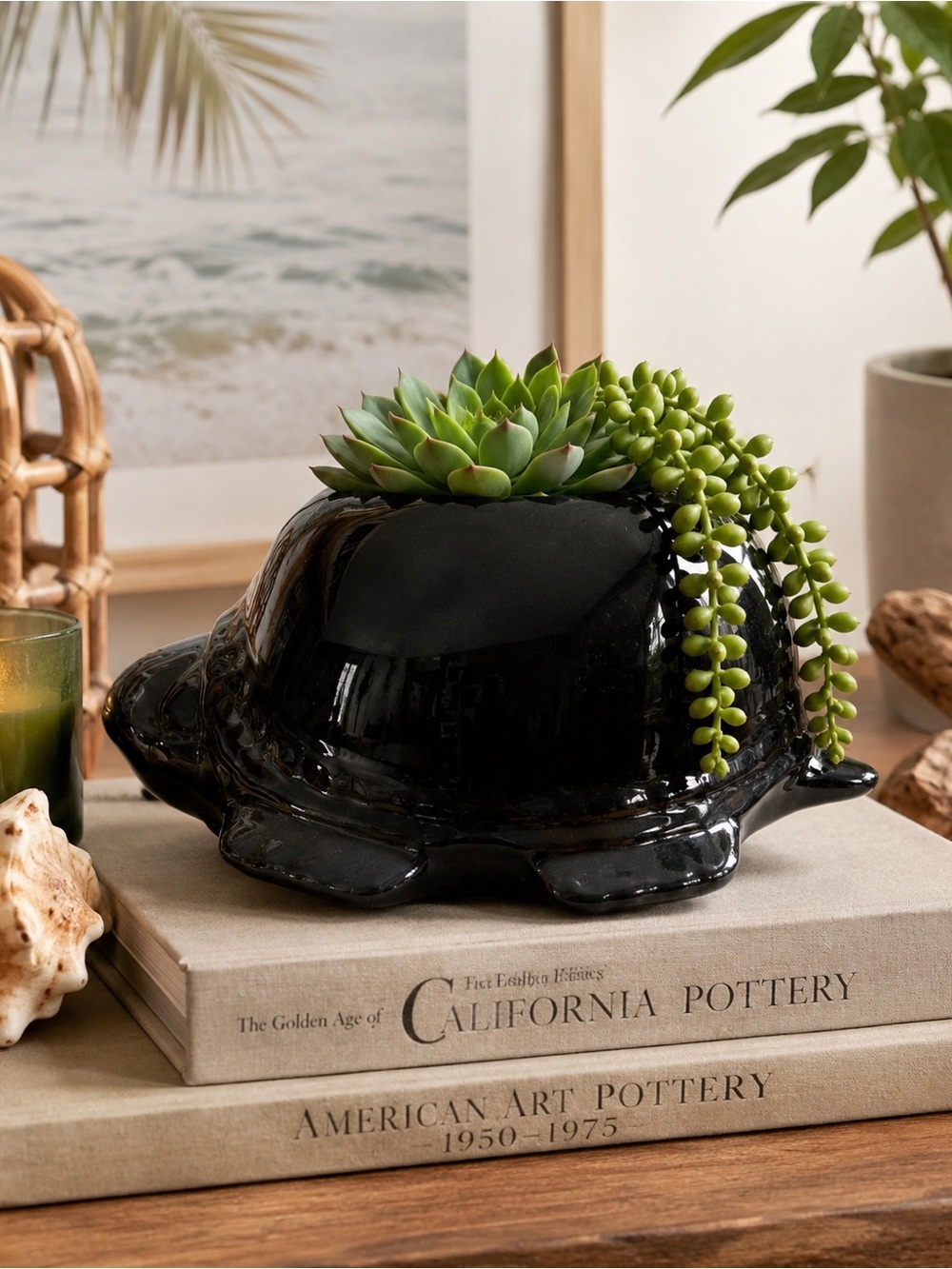 Black Ceramic Turtle Planter - Home Accents